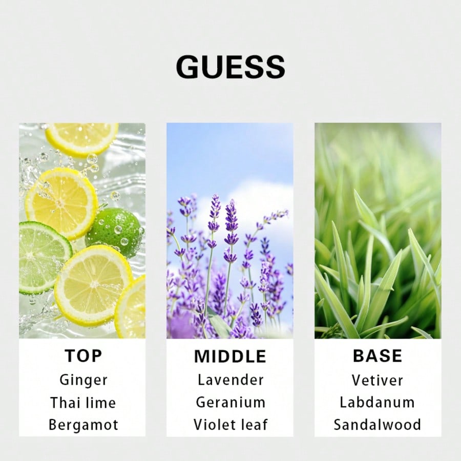 Guess Forever Homme Eau de Toi - Fragrance Perfume Usa avis et prix